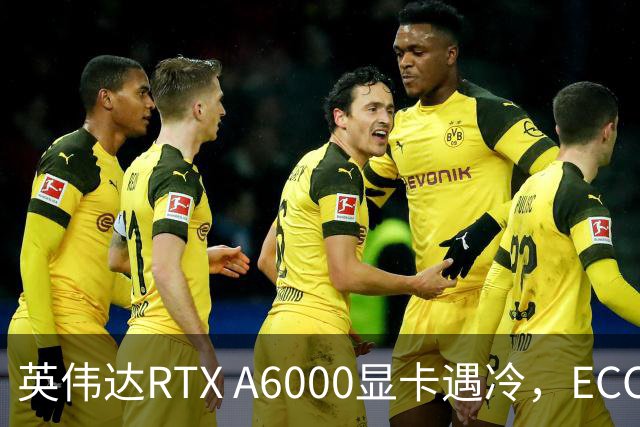 英伟达RTX A6000显卡遇冷，ECC防护机制被突破